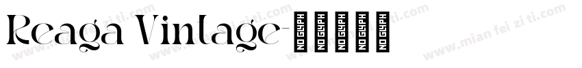 Reaga Vintage字体转换